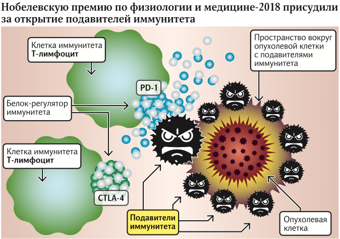 Теория иммунитета нобелевская премия thumbnail