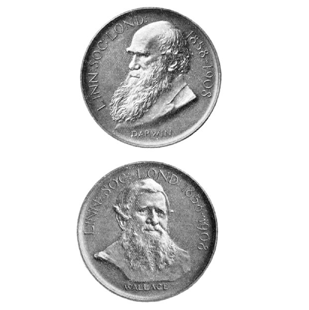 Медаль Дарвина-Уоллеса
